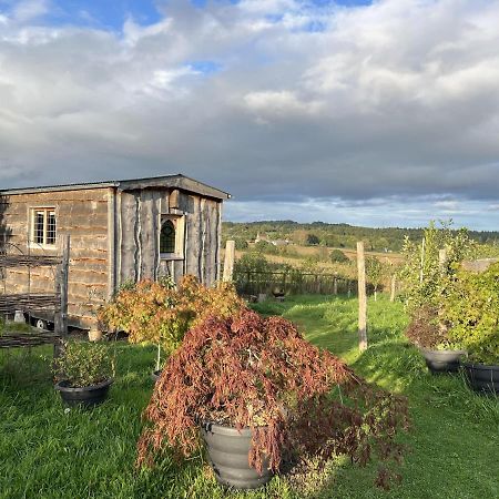 Luxury Shepherd'S Hut Style Cabin With Views Villa Херфорд Екстериор снимка