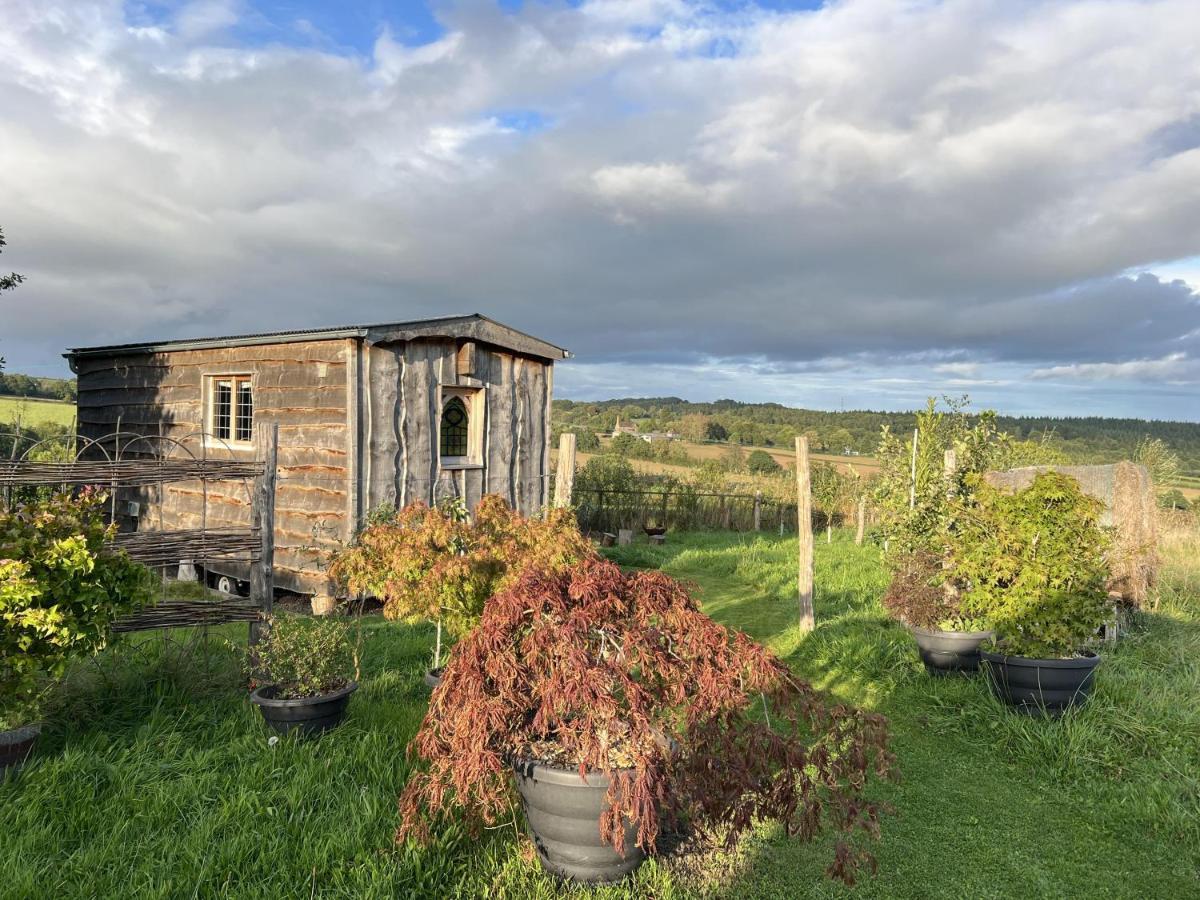 Luxury Shepherd'S Hut Style Cabin With Views Villa Херфорд Екстериор снимка